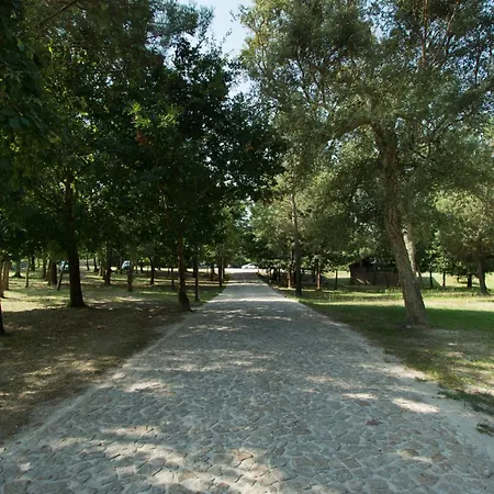 Quinta Do Caminho, Al * Valenca