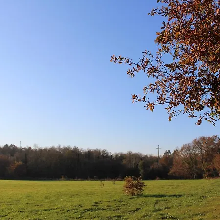 Quinta Do Caminho, Al