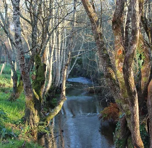 Quinta Do Caminho, Al *