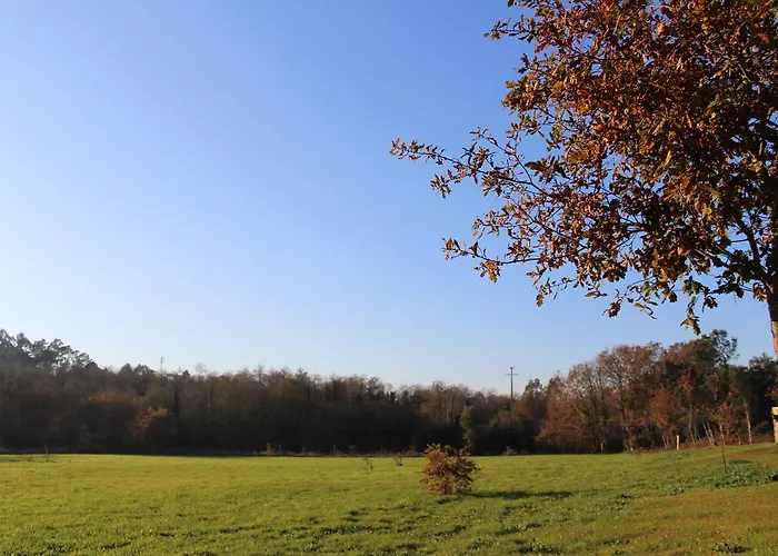 Quinta Do Caminho, Al